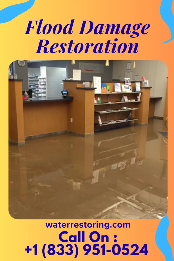 Flood Damage Restoration in Palmetto Estates, FL
